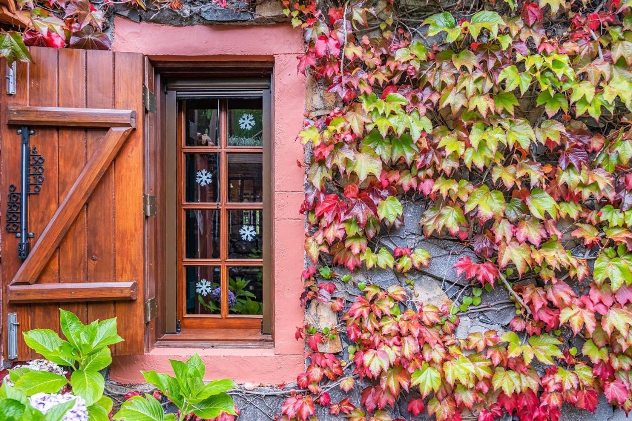 Villa Achada Da Mouca By Madeira Sun Travel Santana  Dış mekan fotoğraf