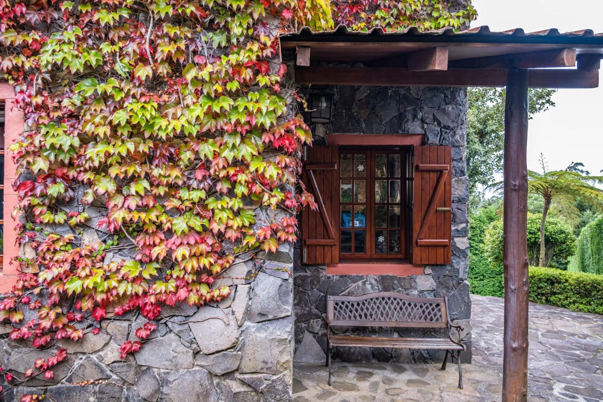 Villa Achada Da Mouca By Madeira Sun Travel Santana  Dış mekan fotoğraf